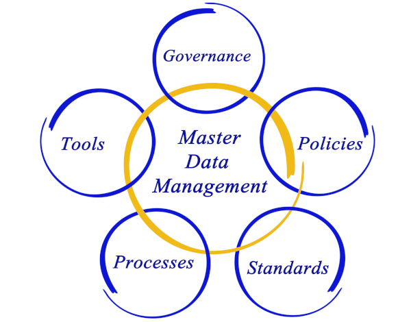 Master Data Management